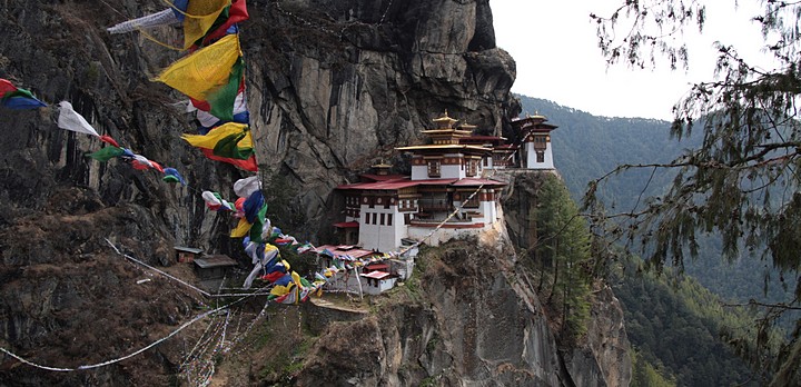 Tiger Nest