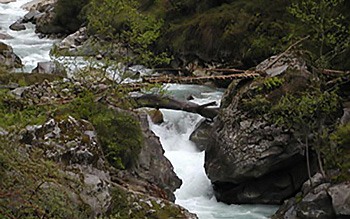 Tamur River
