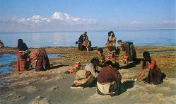 Manasarovar